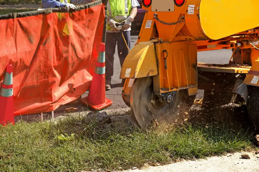 Local Tree Stump Grinding Oceanside, CA