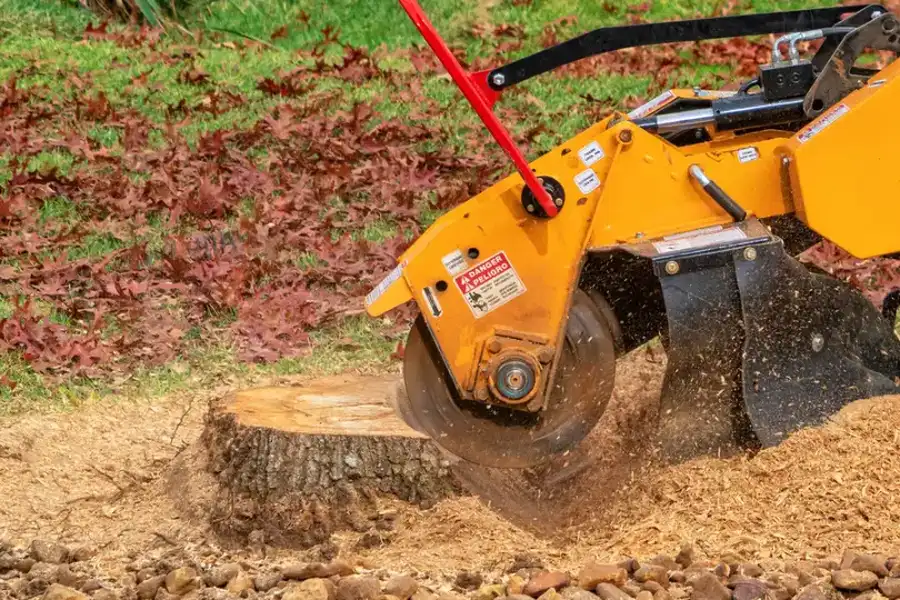 Superior Tree Stump Grinding Oceanside, CA