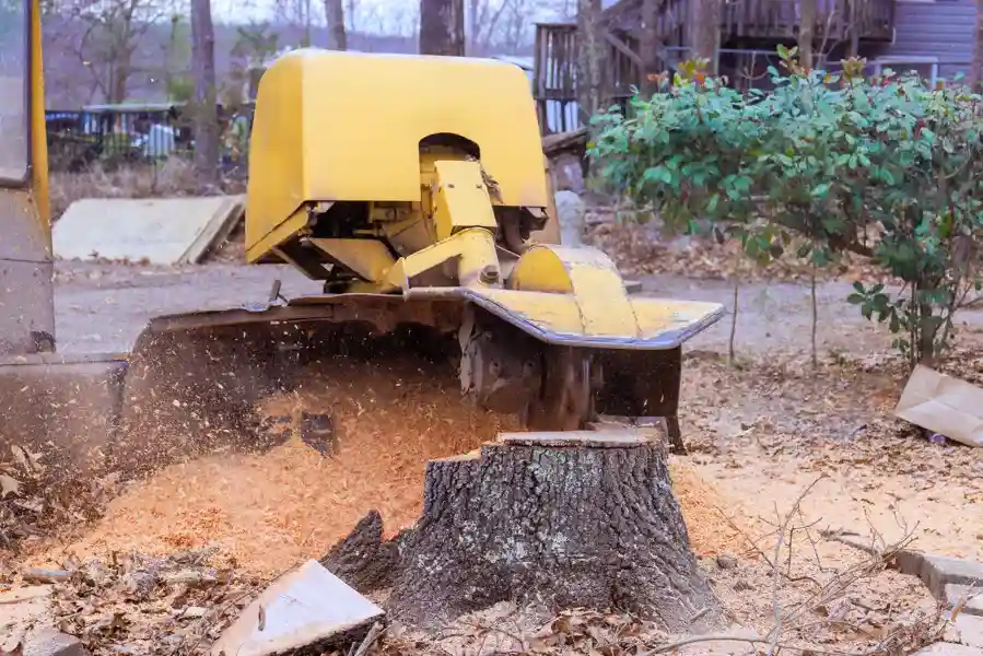 Tree Stump Grinding
